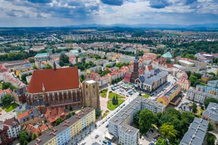 Obraz artykułu